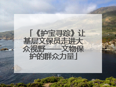 《护宝寻踪》让基层文保员走进大众视野——文物保护的群众力量