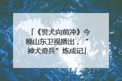 《警犬向前冲》今晚山东卫视播出，“神犬奇兵”炼成记