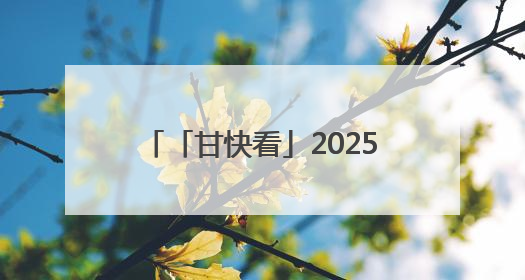 「甘快看」2025兰州马拉松圆满举行