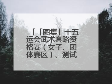 「图集」十五运会武术套路资格赛（女子、团体赛区）、测试赛在南沙开赛