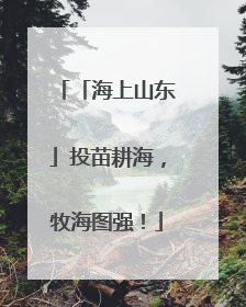「海上山东」投苗耕海，牧海图强！