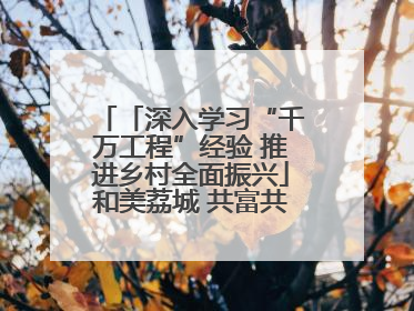 「深入学习“千万工程”经验 推进乡村全面振兴」和美荔城 共富共美 荔城区扎实推进乡村振兴工作