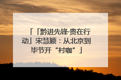 「黔进先锋·贵在行动」宋慧颖：从北京到毕节开“村咖”