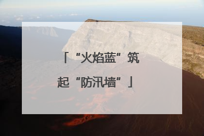 “火焰蓝”筑起“防汛墙”