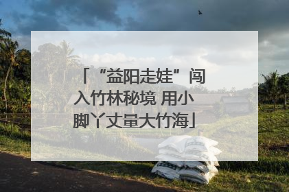 “益阳走娃”闯入竹林秘境 用小脚丫丈量大竹海