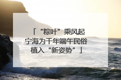 “粽叶”乘风起 宁海为千年端午民俗植入“新姿势”