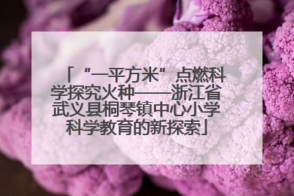 “一平方米”点燃科学探究火种——浙江省武义县桐琴镇中心小学科学教育的新探索