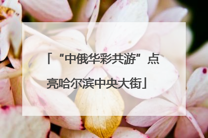 “中俄华彩共游”点亮哈尔滨中央大街
