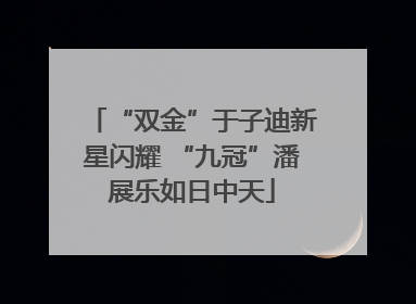 “双金”于子迪新星闪耀 “九冠”潘展乐如日中天