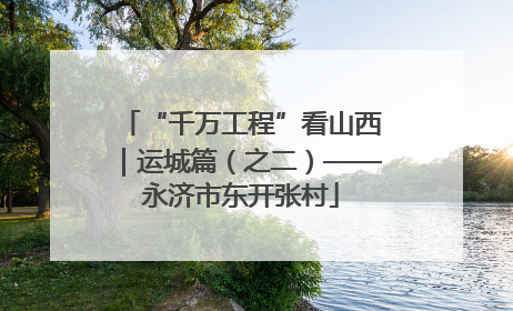 “千万工程”看山西｜运城篇（之二）——永济市东开张村