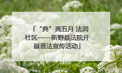 “典”亮五月 法润社区——新野县法院开展普法宣传活动