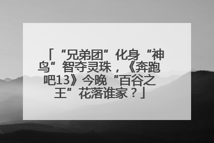 “兄弟团”化身“神鸟”智夺灵珠，《奔跑吧13》今晚“百谷之王”花落谁家？
