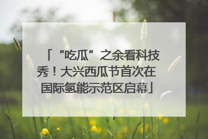 “吃瓜”之余看科技秀！大兴西瓜节首次在国际氢能示范区启幕