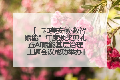 “和美安徽·数智赋能”年度颁奖典礼暨AI赋能基层治理主题会议成功举办
