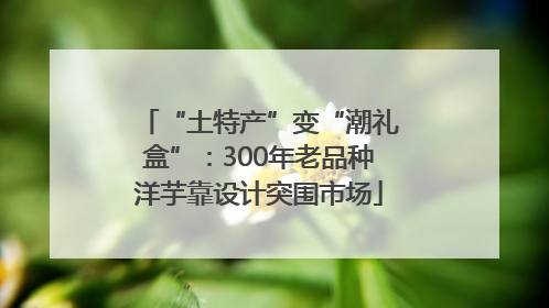 “土特产”变“潮礼盒”：300年老品种洋芋靠设计突围市场