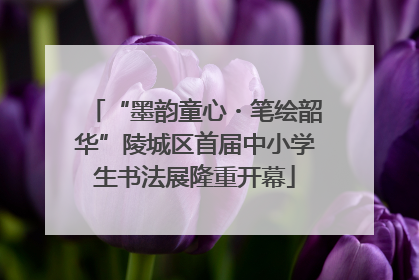 “墨韵童心・笔绘韶华”陵城区首届中小学生书法展隆重开幕