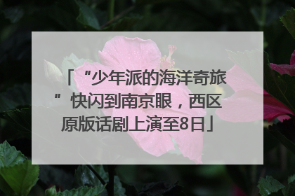 “少年派的海洋奇旅”快闪到南京眼，西区原版话剧上演至8日