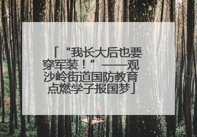 “我长大后也要穿军装！”——观沙岭街道国防教育点燃学子报国梦