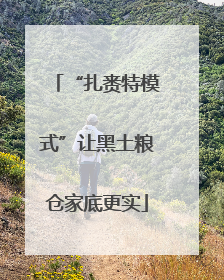 “扎赉特模式”让黑土粮仓家底更实