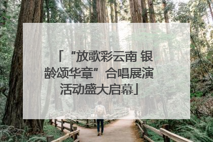 “放歌彩云南 银龄颂华章”合唱展演活动盛大启幕