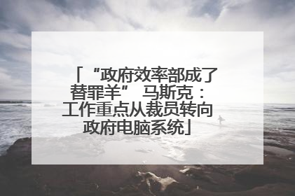 “政府效率部成了替罪羊” 马斯克：工作重点从裁员转向政府电脑系统