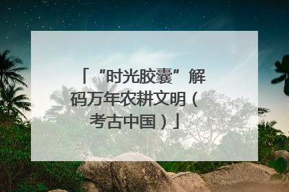 “时光胶囊”解码万年农耕文明（考古中国）