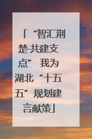 “智汇荆楚·共建支点” 我为湖北“十五五”规划建言献策