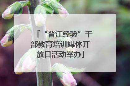 “晋江经验”干部教育培训媒体开放日活动举办
