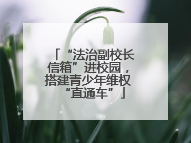 “法治副校长信箱”进校园，搭建青少年维权“直通车”
