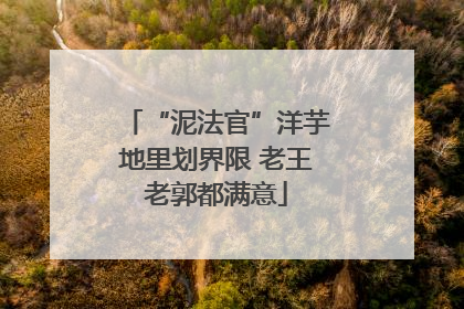 “泥法官”洋芋地里划界限 老王老郭都满意