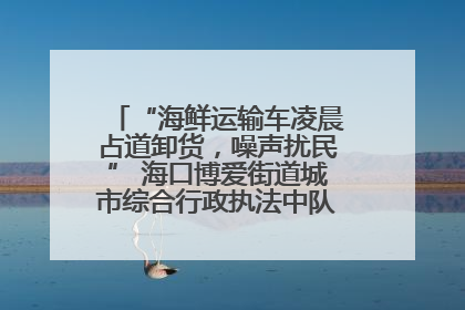 “海鲜运输车凌晨占道卸货，噪声扰民” 海口博爱街道城市综合行政执法中队：将联合交警加强长堤路一带巡逻