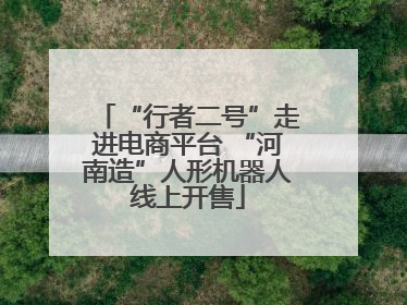 “行者二号”走进电商平台 “河南造”人形机器人线上开售