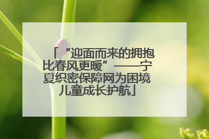 “迎面而来的拥抱比春风更暖”——宁夏织密保障网为困境儿童成长护航