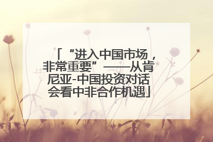 “进入中国市场，非常重要”——从肯尼亚-中国投资对话会看中非合作机遇