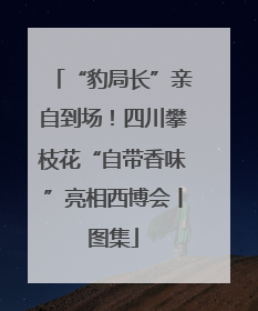 “豹局长”亲自到场！四川攀枝花“自带香味”亮相西博会丨图集
