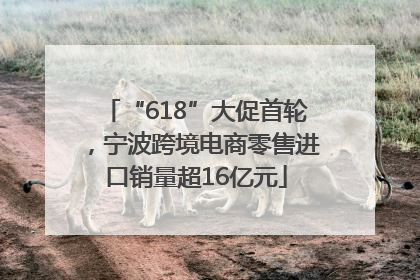 “618”大促首轮，宁波跨境电商零售进口销量超16亿元