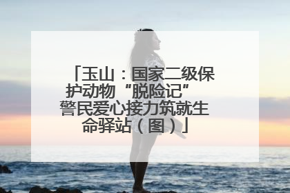 玉山：国家二级保护动物“脱险记” 警民爱心接力筑就生命驿站（图）