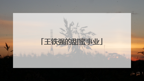 王铁强的甜蜜事业