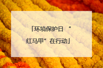 环境保护日 “红马甲”在行动