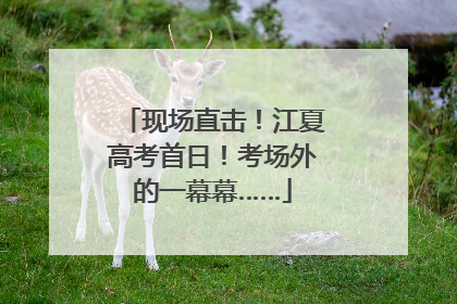 现场直击！江夏高考首日！考场外的一幕幕……