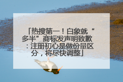 热搜第一！白象就“多半”商标发声明致歉：注册初心是做份量区分，将尽快调整