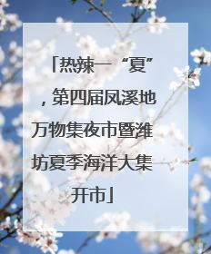 热辣一“夏”，第四届凤溪地万物集夜市暨潍坊夏季海洋大集开市