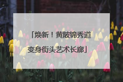 焕新！黄陂锦秀道变身街头艺术长廊