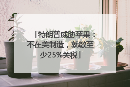 特朗普威胁苹果：不在美制造，就缴至少25%关税