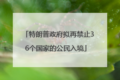 特朗普政府拟再禁止36个国家的公民入境