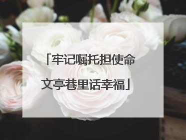 牢记嘱托担使命 文亭巷里话幸福