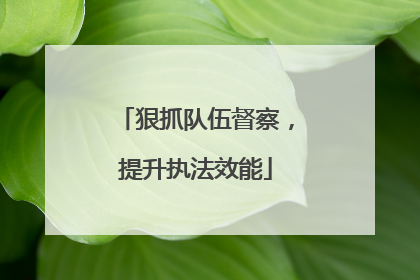 狠抓队伍督察，提升执法效能