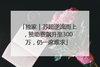 独家｜苏超逆流而上，赞助费飙升至300万，仍一席难求