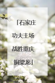 石家庄功夫主场战胜重庆铜梁龙