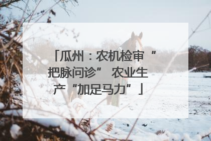 瓜州：农机检审“把脉问诊” 农业生产“加足马力”